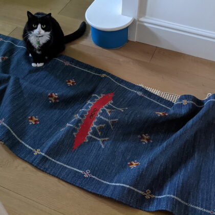 Photo of a cat for Scarf, 3 Metres, Rolled Up